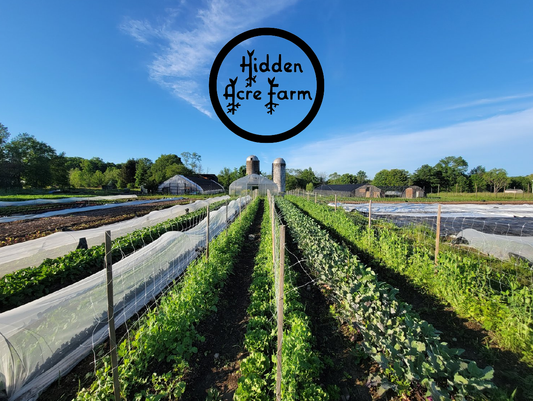 From Garden to Bottle: The Art of Crafting Small Batch Hot Sauce